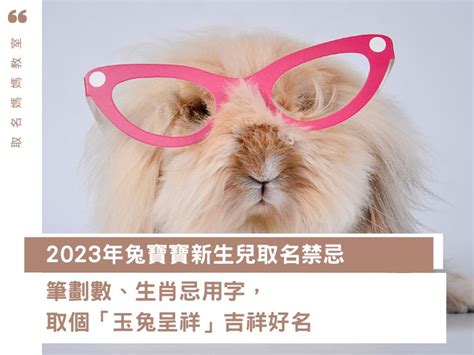 2023姓名學|2023兔寶寶取名吉祥＆禁忌用字｜有這個字一生不愁 